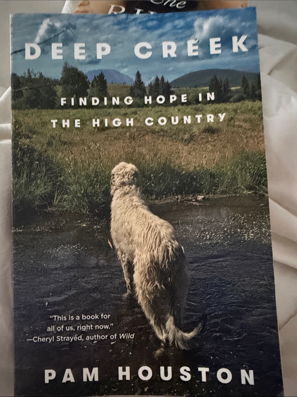 Deep Creek by Pam Houston new book